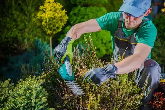 landscaping services Cooperstown